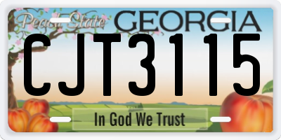 GA license plate CJT3115