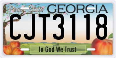 GA license plate CJT3118
