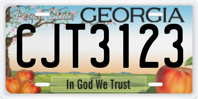 GA license plate CJT3123