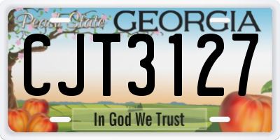 GA license plate CJT3127
