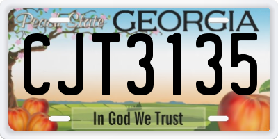 GA license plate CJT3135