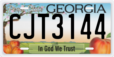 GA license plate CJT3144