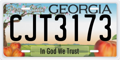 GA license plate CJT3173