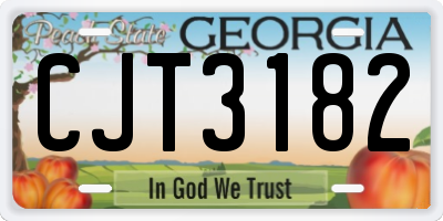 GA license plate CJT3182