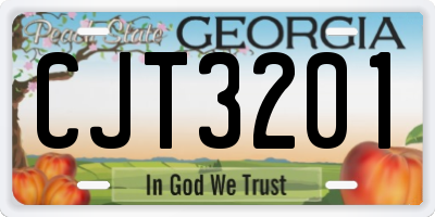 GA license plate CJT3201