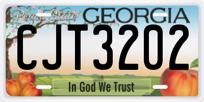 GA license plate CJT3202