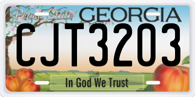 GA license plate CJT3203