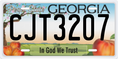 GA license plate CJT3207
