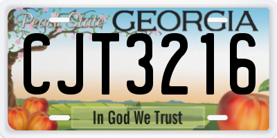 GA license plate CJT3216