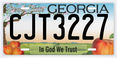 GA license plate CJT3227