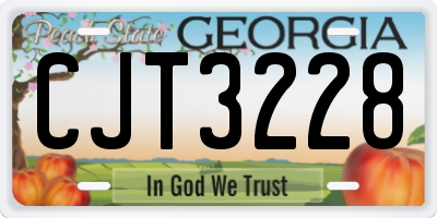 GA license plate CJT3228