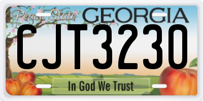 GA license plate CJT3230