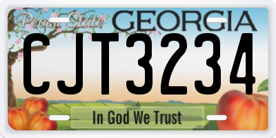 GA license plate CJT3234