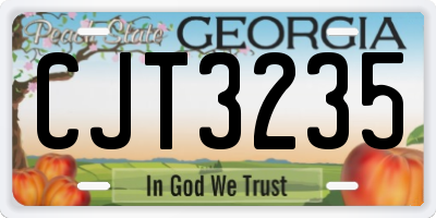 GA license plate CJT3235