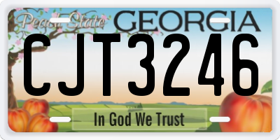GA license plate CJT3246