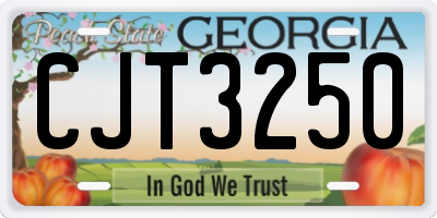 GA license plate CJT3250