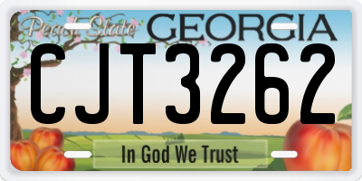 GA license plate CJT3262