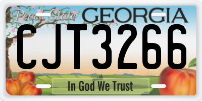 GA license plate CJT3266