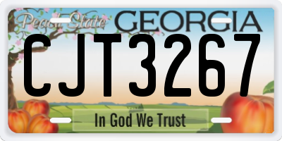 GA license plate CJT3267