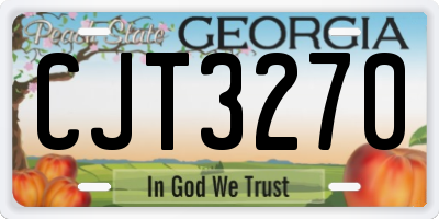 GA license plate CJT3270