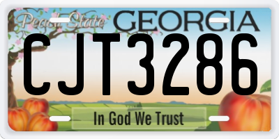 GA license plate CJT3286