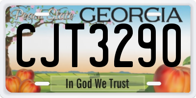 GA license plate CJT3290