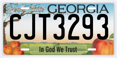 GA license plate CJT3293