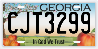 GA license plate CJT3299