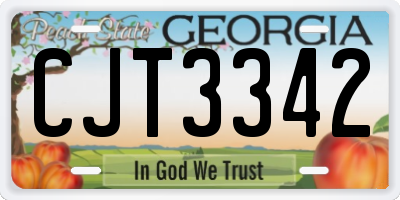 GA license plate CJT3342