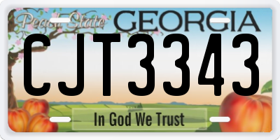 GA license plate CJT3343