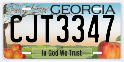 GA license plate CJT3347