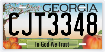 GA license plate CJT3348