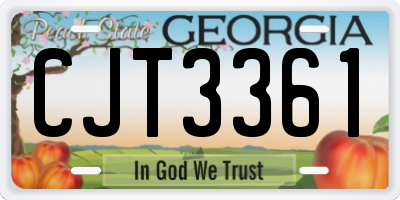 GA license plate CJT3361