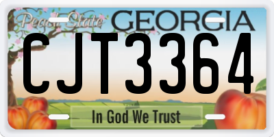 GA license plate CJT3364