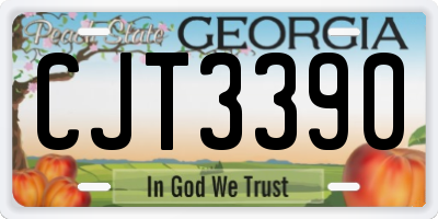 GA license plate CJT3390