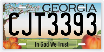 GA license plate CJT3393