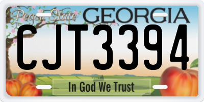 GA license plate CJT3394