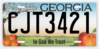 GA license plate CJT3421