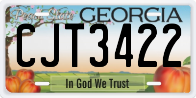 GA license plate CJT3422