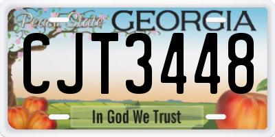 GA license plate CJT3448