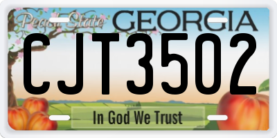 GA license plate CJT3502
