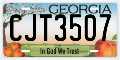 GA license plate CJT3507