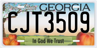 GA license plate CJT3509