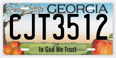 GA license plate CJT3512
