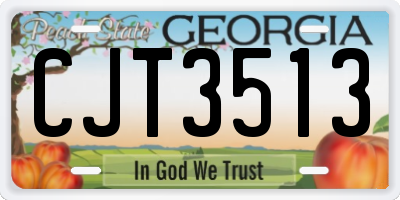 GA license plate CJT3513