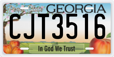 GA license plate CJT3516