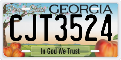 GA license plate CJT3524