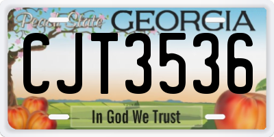 GA license plate CJT3536