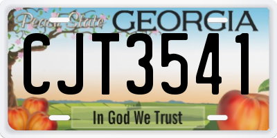 GA license plate CJT3541