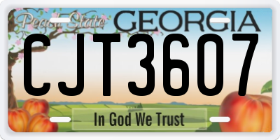 GA license plate CJT3607